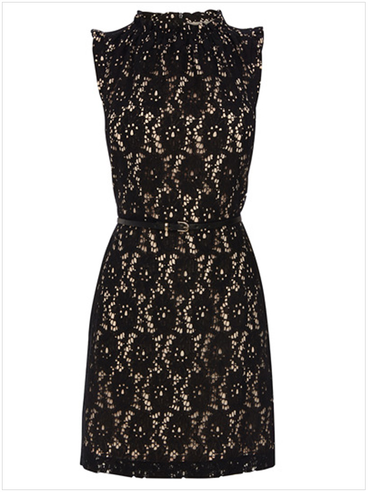Plain Sexy Sleeveless Lace Dress.